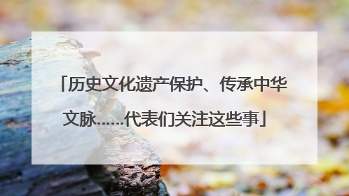 历史文化遗产保护、传承中华文脉……代表们关注这些事