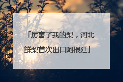 厉害了我的梨，河北鲜梨首次出口阿根廷