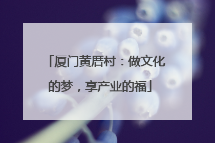 厦门黄厝村：做文化的梦，享产业的福