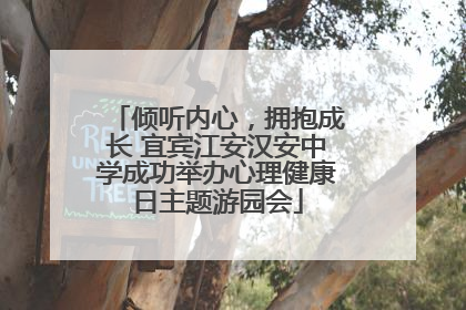 倾听内心，拥抱成长 宜宾江安汉安中学成功举办心理健康日主题游园会