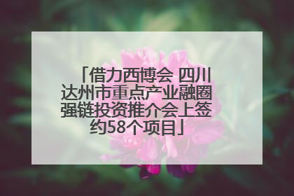 借力西博会 四川达州市重点产业融圈强链投资推介会上签约58个项目