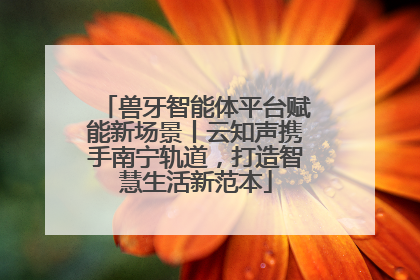 兽牙智能体平台赋能新场景丨云知声携手南宁轨道，打造智慧生活新范本