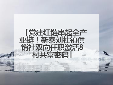 党建红链串起全产业链！新泰刘杜镇供销社双向任职激活8村共富密码