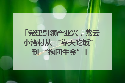 党建引领产业兴，紫云小湾村从 “靠天吃饭” 到 “抱团生金”