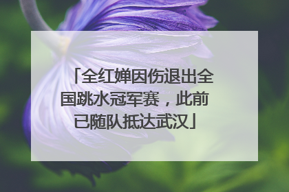 全红婵因伤退出全国跳水冠军赛，此前已随队抵达武汉