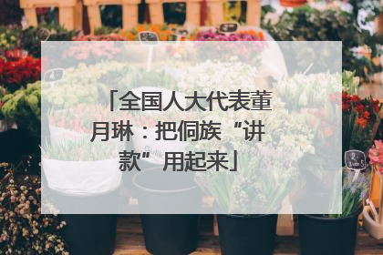 全国人大代表董月琳：把侗族“讲款”用起来