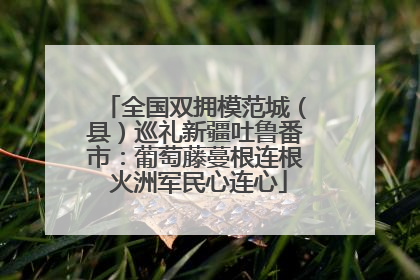 全国双拥模范城（县）巡礼新疆吐鲁番市：葡萄藤蔓根连根 火洲军民心连心