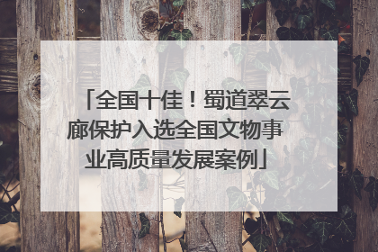 全国十佳！蜀道翠云廊保护入选全国文物事业高质量发展案例