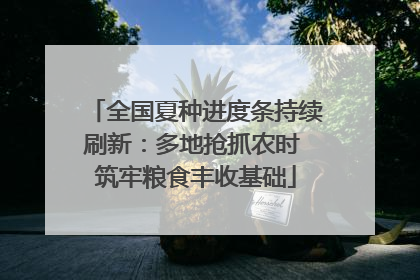 全国夏种进度条持续刷新：多地抢抓农时 筑牢粮食丰收基础