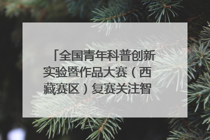 全国青年科普创新实验暨作品大赛（西藏赛区）复赛关注智慧环保等主题