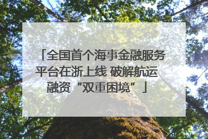 全国首个海事金融服务平台在浙上线 破解航运融资“双重困境”