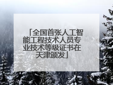 全国首张人工智能工程技术人员专业技术等级证书在天津颁发