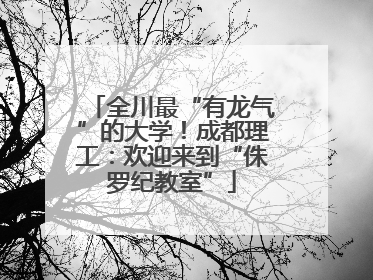 全川最“有龙气”的大学！成都理工：欢迎来到“侏罗纪教室”