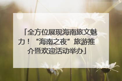全方位展现海南旅文魅力！“海南之夜”旅游推介暨欢迎活动举办