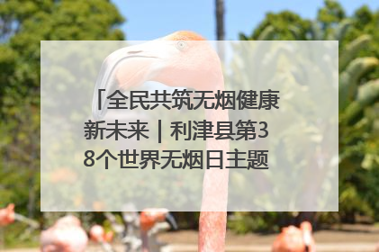 全民共筑无烟健康新未来｜利津县第38个世界无烟日主题活动暨控烟科普宣讲竞赛圆满举行
