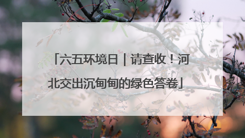 六五环境日｜请查收！河北交出沉甸甸的绿色答卷