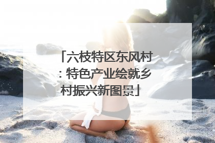 六枝特区东风村：特色产业绘就乡村振兴新图景