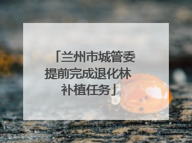 兰州市城管委提前完成退化林补植任务