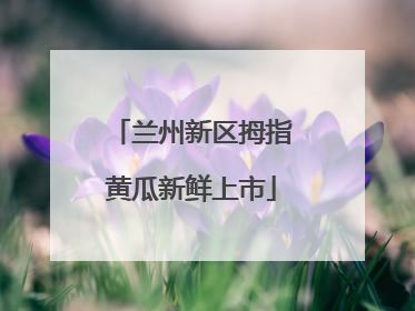 兰州新区拇指黄瓜新鲜上市