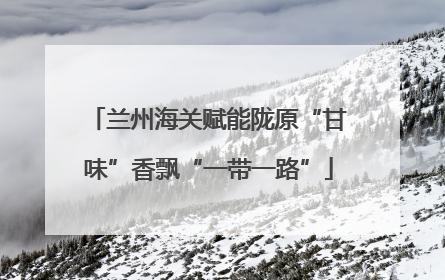 兰州海关赋能陇原“甘味”香飘“一带一路”