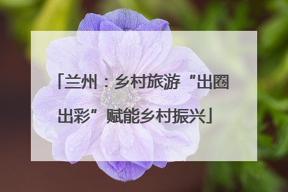 兰州：乡村旅游“出圈出彩”赋能乡村振兴