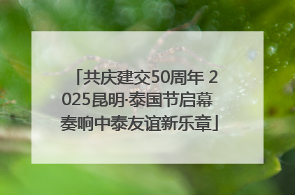 共庆建交50周年 2025昆明·泰国节启幕 奏响中泰友谊新乐章