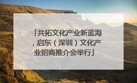 共拓文化产业新蓝海，启东（深圳）文化产业招商推介会举行