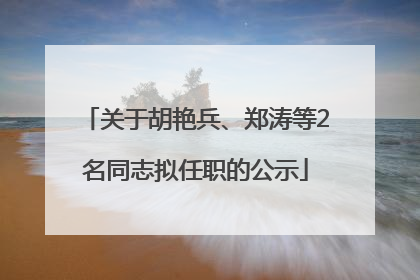 关于胡艳兵、郑涛等2名同志拟任职的公示