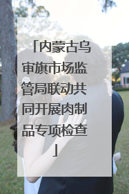内蒙古乌审旗市场监管局联动共同开展肉制品专项检查