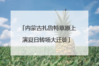 内蒙古扎鲁特草原上演夏日转场大迁徙