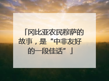 冈比亚农民穆萨的故事，是“中非友好的一段佳话”