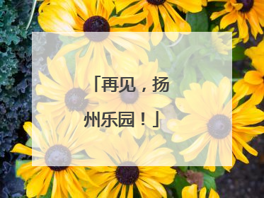 再见，扬州乐园！
