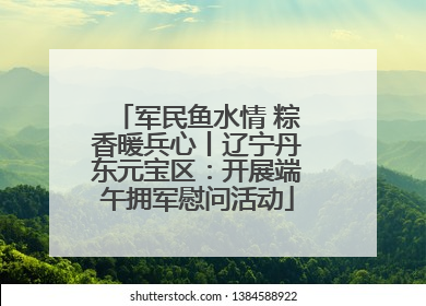军民鱼水情 粽香暖兵心丨辽宁丹东元宝区：开展端午拥军慰问活动