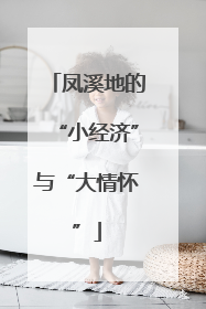 凤溪地的“小经济”与“大情怀”