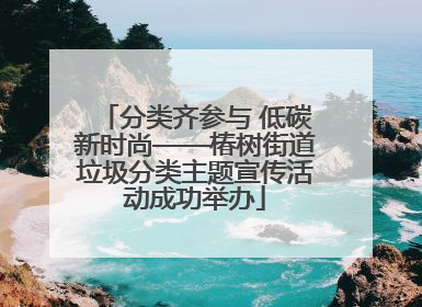 分类齐参与 低碳新时尚——椿树街道垃圾分类主题宣传活动成功举办