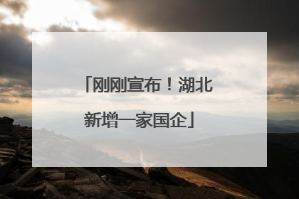刚刚宣布！湖北新增一家国企