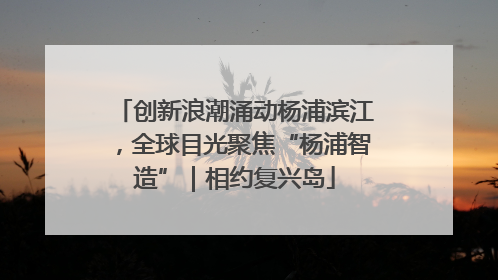 创新浪潮涌动杨浦滨江，全球目光聚焦“杨浦智造”｜相约复兴岛