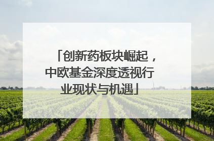 创新药板块崛起，中欧基金深度透视行业现状与机遇