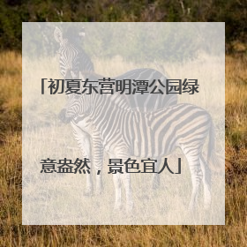 初夏东营明潭公园绿意盎然，景色宜人