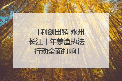 利剑出鞘 永州长江十年禁渔执法行动全面打响