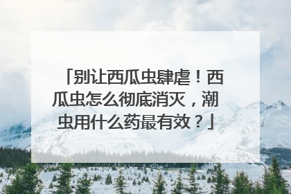 别让西瓜虫肆虐！西瓜虫怎么彻底消灭，潮虫用什么药最有效？