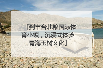 到丰台北粮国际体育小镇，沉浸式体验青海玉树文化
