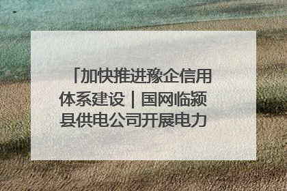 加快推进豫企信用体系建设｜国网临颍县供电公司开展电力行业信用企业现场咨询访谈工作