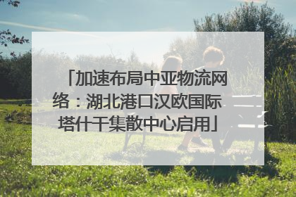 加速布局中亚物流网络：湖北港口汉欧国际塔什干集散中心启用