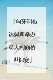 匈牙利布达佩斯举办意大利面桥世锦赛