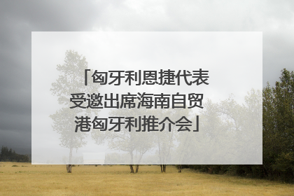 匈牙利恩捷代表受邀出席海南自贸港匈牙利推介会