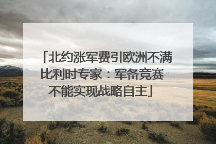 北约涨军费引欧洲不满 比利时专家：军备竞赛不能实现战略自主
