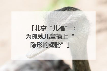 北京“儿福”：为孤残儿童插上“隐形的翅膀”