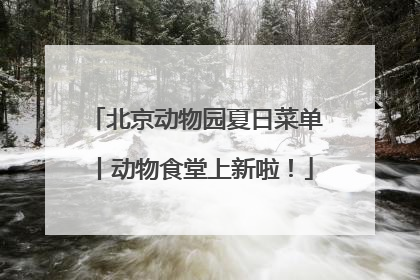 北京动物园夏日菜单丨动物食堂上新啦！