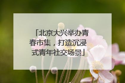 北京大兴举办青春市集，打造沉浸式青年社交场景